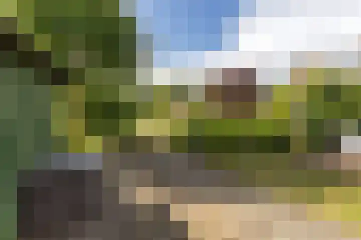 Hoofdweg 207 Schildwolde thumbnail 16