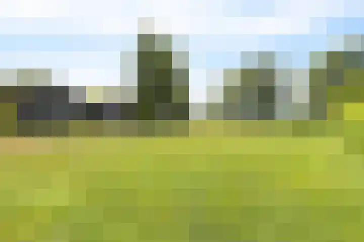 Hoofdweg 207 Schildwolde thumbnail 17
