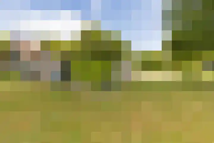 Hoofdweg 207 Schildwolde thumbnail 21