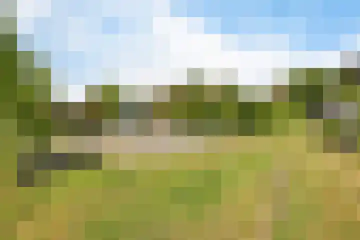 Hoofdweg 207 Schildwolde thumbnail 22