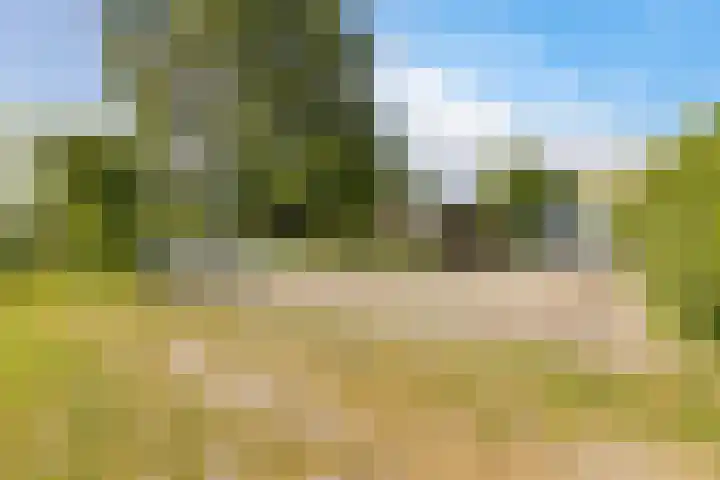 Hoofdweg 207 Schildwolde thumbnail 23