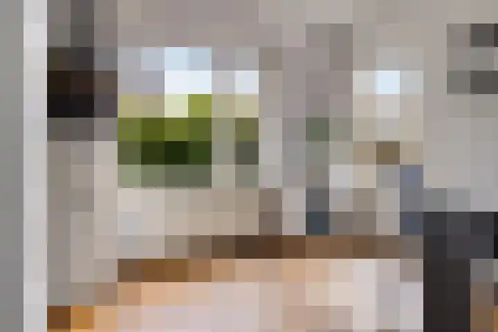 Hoofdweg 207 Schildwolde thumbnail 34