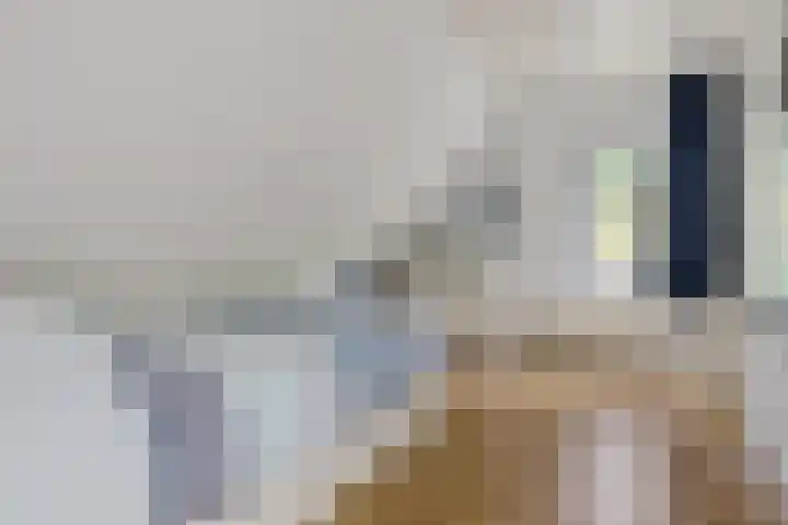 Hoofdweg 207 Schildwolde thumbnail 49