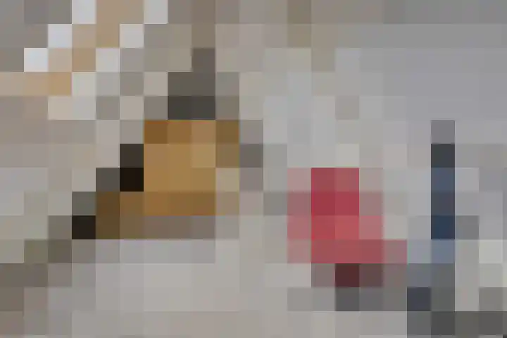 Hoofdweg 207 Schildwolde thumbnail 54