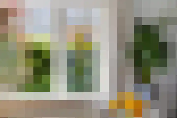 Hoofdweg 207 Schildwolde thumbnail 6