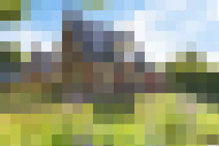 Hoofdweg 207 Schildwolde thumbnail 8
