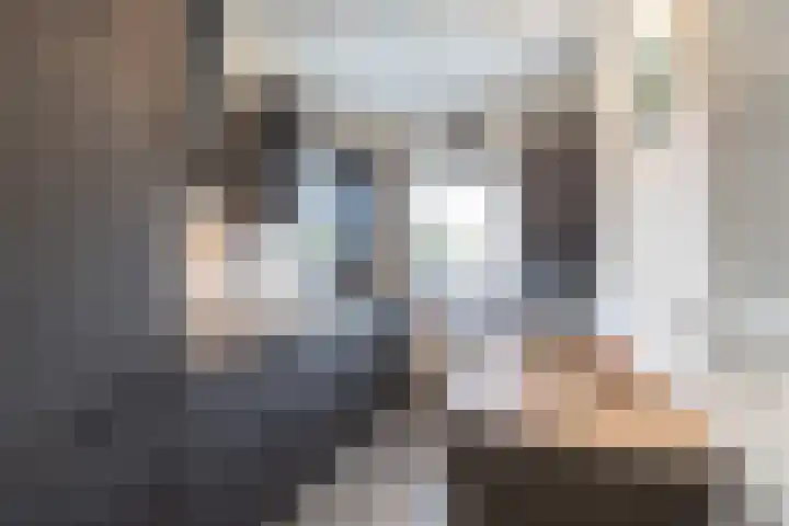 Hoofdweg 210 Westerlee thumbnail 10