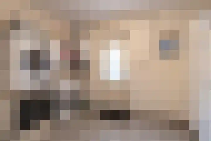 Hoofdweg 210 Westerlee thumbnail 24