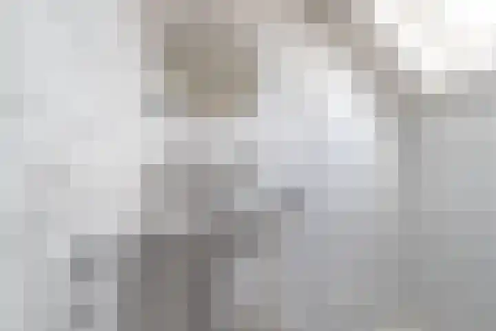 Hoofdweg 210 Westerlee thumbnail 32