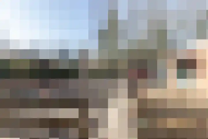 Hoofdweg 210 Westerlee thumbnail 38