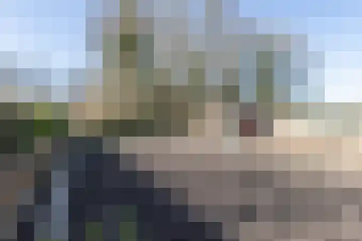 Hoofdweg 210 Westerlee thumbnail 39