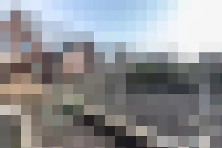 Hoofdweg 210 Westerlee thumbnail 45