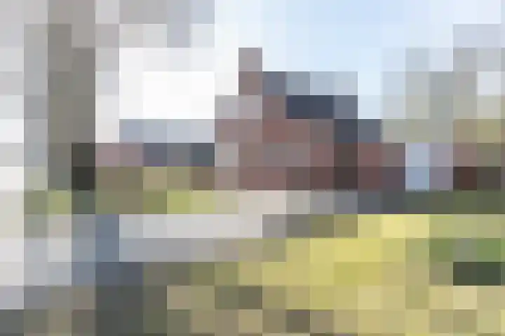 Hoofdweg 210 Westerlee thumbnail 48