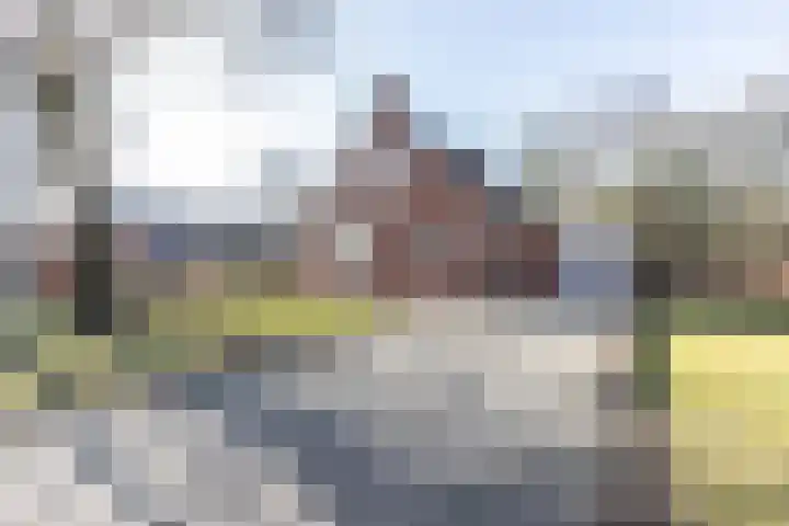 Hoofdweg 210 Westerlee thumbnail 6