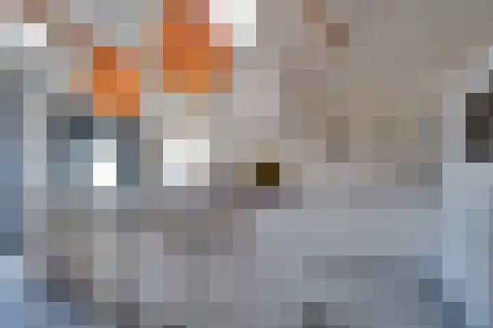 Hoofdweg 234 Bovensmilde thumbnail 11