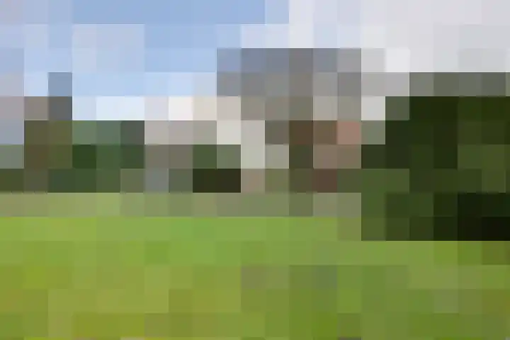 Hoofdweg 234 Bovensmilde thumbnail 41