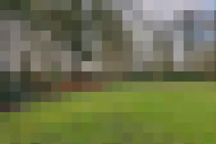Hoofdweg 234 Bovensmilde thumbnail 42
