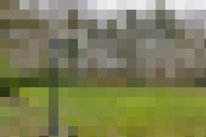 Hoofdweg 234 Bovensmilde thumbnail 43