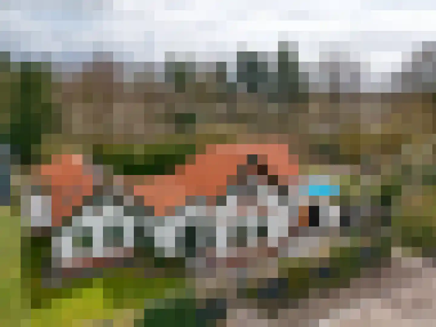 Hoofdweg 234 Bovensmilde thumbnail 61