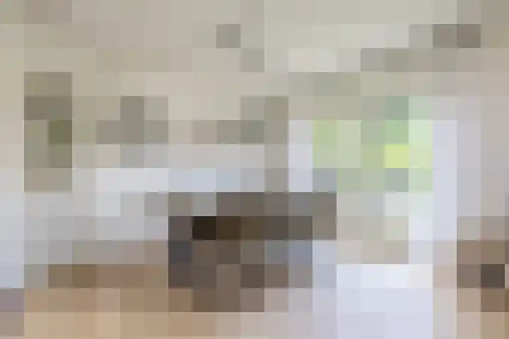 Hoofdweg 26 Kolham thumbnail 11