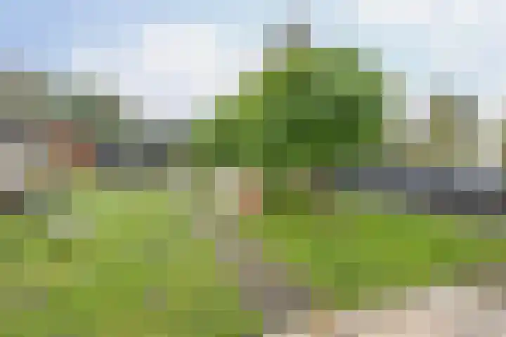 Hoofdweg 26 Kolham thumbnail 29