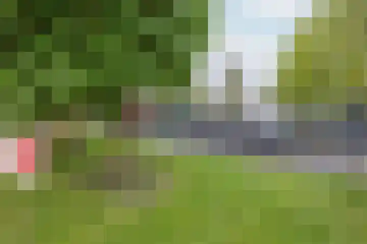 Hoofdweg 26 Kolham thumbnail 30