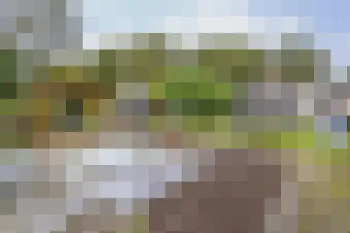 Hoofdweg 26 Kolham thumbnail 33