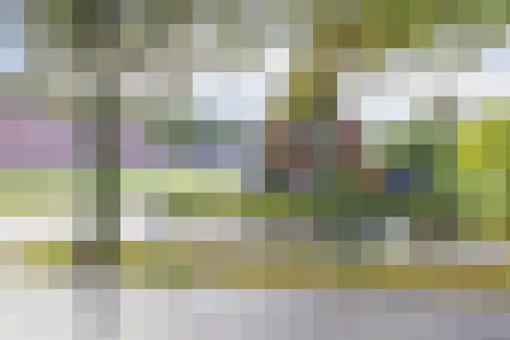 Hoofdweg 26 Kolham thumbnail 35