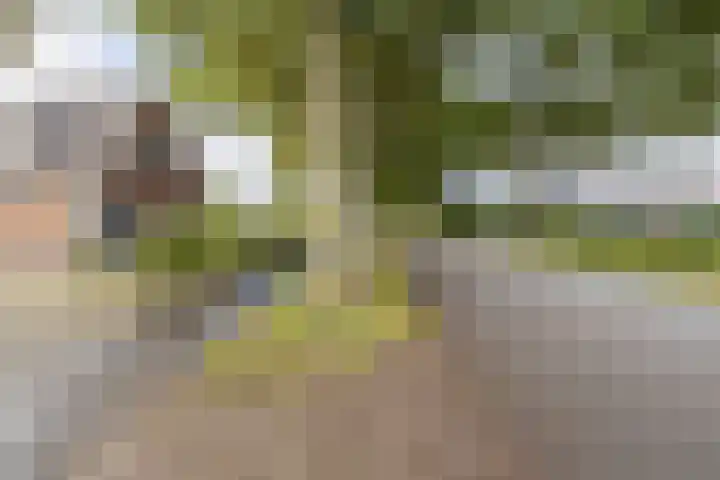 Hoofdweg 26 Kolham thumbnail 37