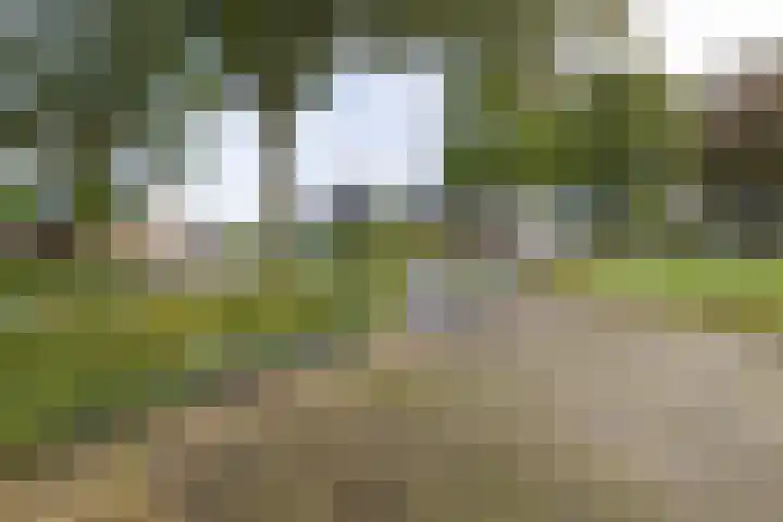 Hoofdweg 26 Kolham thumbnail 7