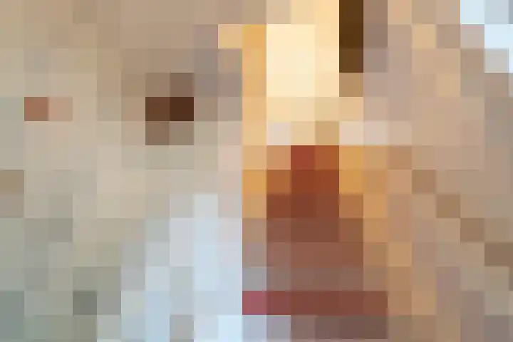 Hoofdweg 3 Hellum thumbnail 28