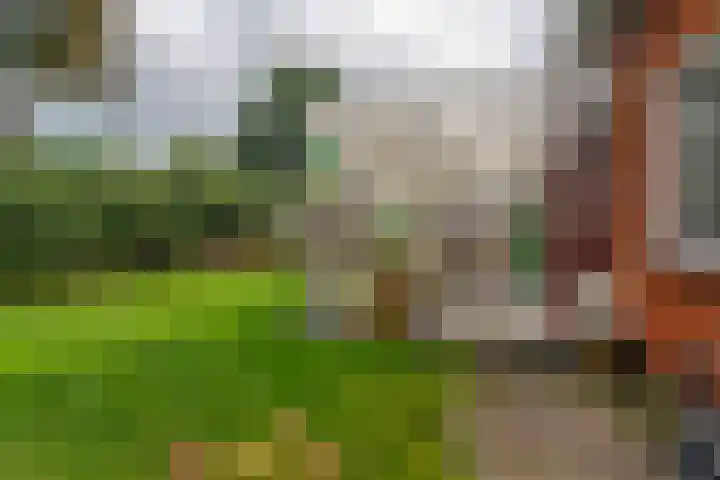 Hoofdweg 3 Hellum thumbnail 40