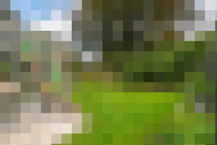 Hoofdweg 3 Hellum thumbnail 42