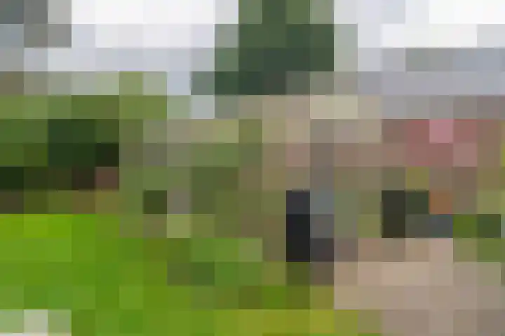 Hoofdweg 3 Hellum thumbnail 43