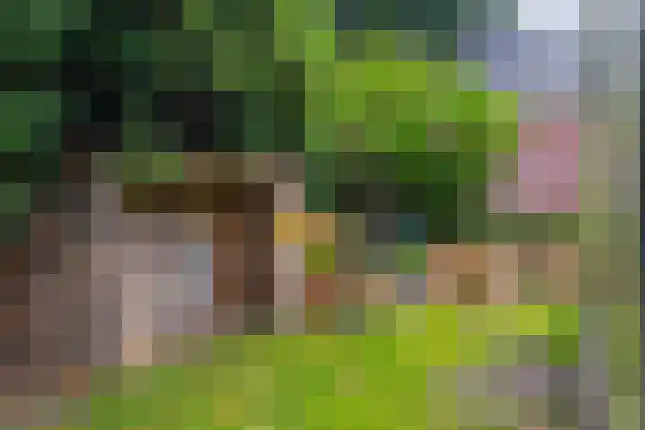 Hoofdweg 3 Hellum thumbnail 44