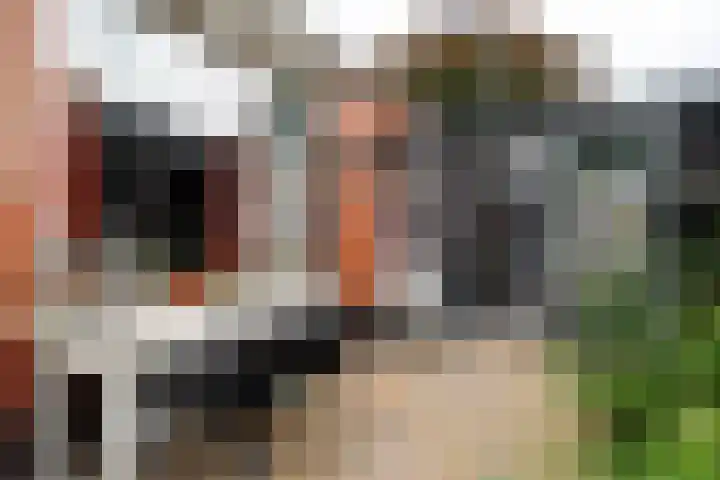 Hoofdweg 3 Hellum thumbnail 46