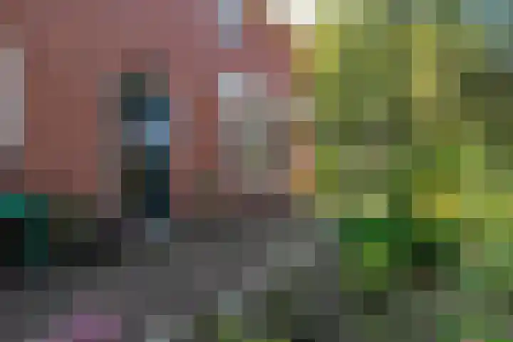 Hoofdweg 3 Hellum thumbnail 8