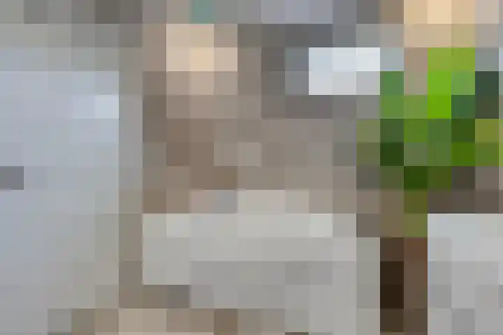 Hoofdweg 43 Smilde thumbnail 14