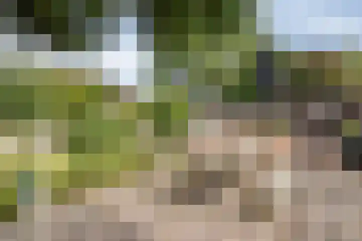 Hoofdweg 43 Smilde thumbnail 42