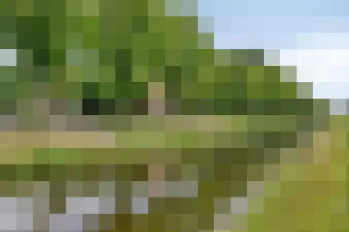 Hoofdweg 43 Smilde thumbnail 44