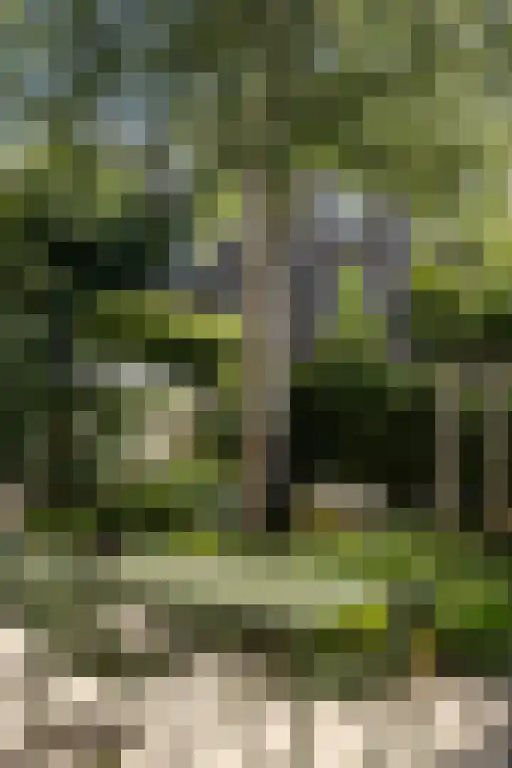 Hoofdweg 44 Amsterdam thumbnail 12