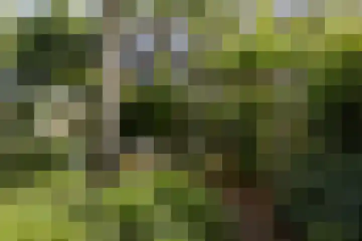 Hoofdweg 44 Amsterdam thumbnail 14