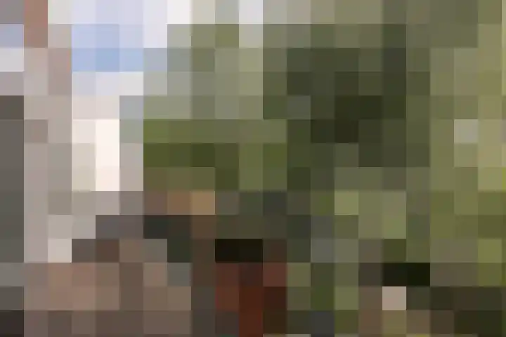 Hoofdweg 44 Amsterdam thumbnail 22