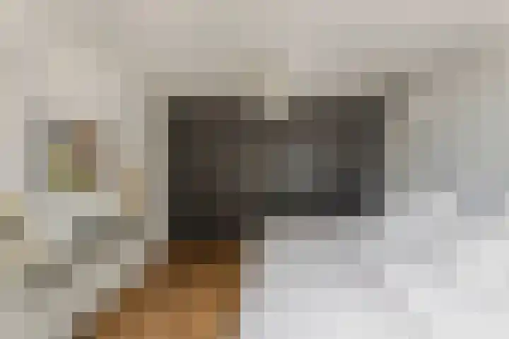 Hoofdweg 44 Amsterdam thumbnail 23
