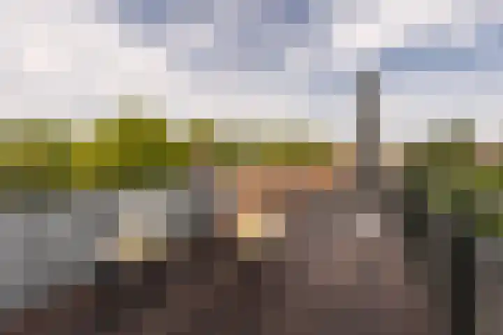 Hoofdweg 44 Amsterdam thumbnail 37