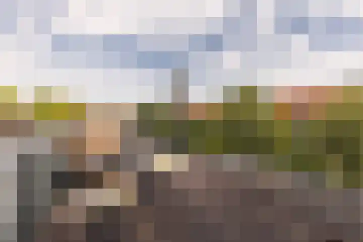 Hoofdweg 44 Amsterdam thumbnail 38