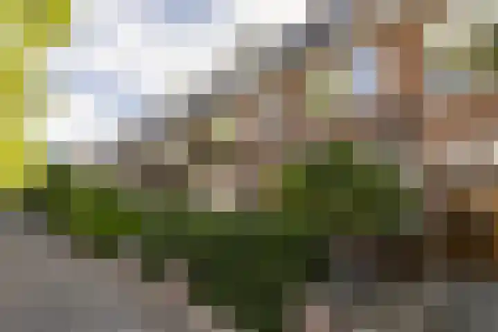 Hoofdweg 44 Amsterdam thumbnail 4