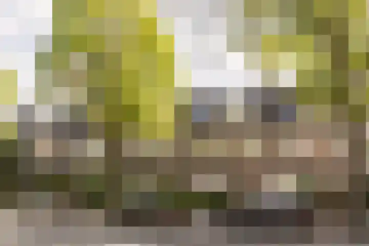 Hoofdweg 44 Amsterdam thumbnail 41