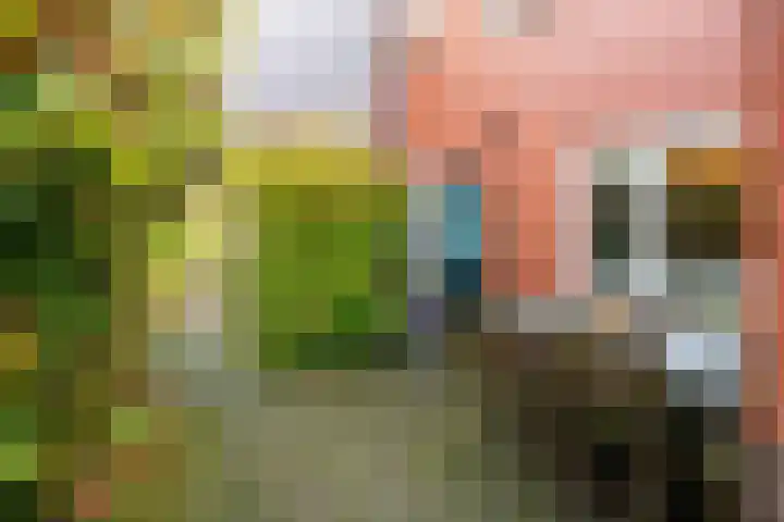 Hoofdweg 58 Schildwolde thumbnail 6
