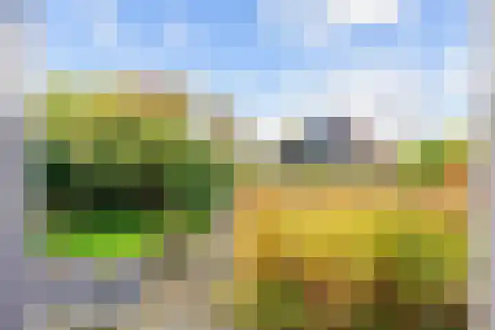 Hoofdweg 58 Schildwolde thumbnail 69
